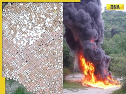 Viral Video: This is what Rs 5595427950 worth of cocaine looks like when set on fire, watch