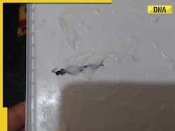 Watch video: Days after Mumbai man found human finger in ice cream, woman in Noida finds centipede inside ice cream tub