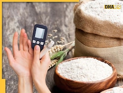 Diabetes Control: रोटी का आटा गूंथते वक्त मिलाएं ये 5 चीजें, तुरंत कंट्रोल में आ जाएगा High Blood Sugar