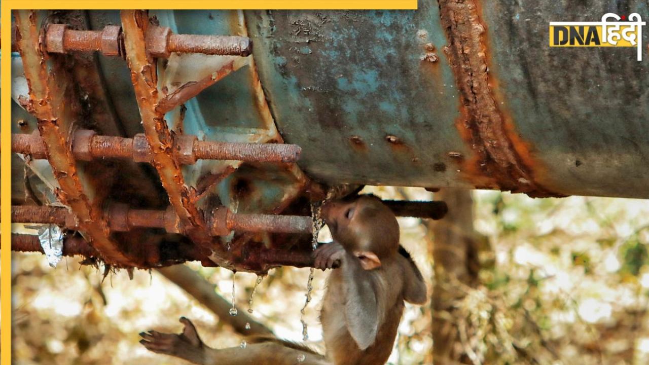 Heatwave Alert: बिहार में हीटवेव से 22 की मौत, दिल्ली से पहाड़ों तक लू ने निकाला दम, जानें कब आ रहा मानसून